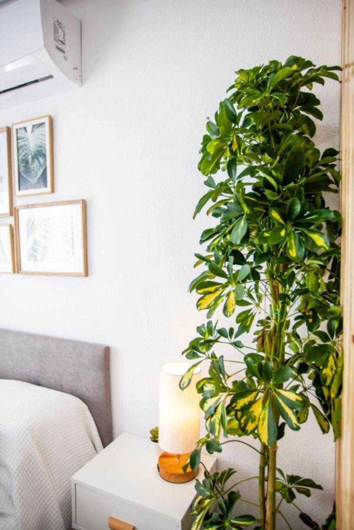 Ole Studio Apartment Rojales Ngoại thất bức ảnh